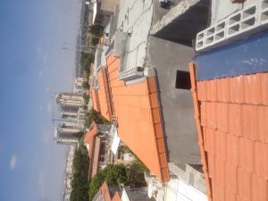 IMG_2829 (Medium)
